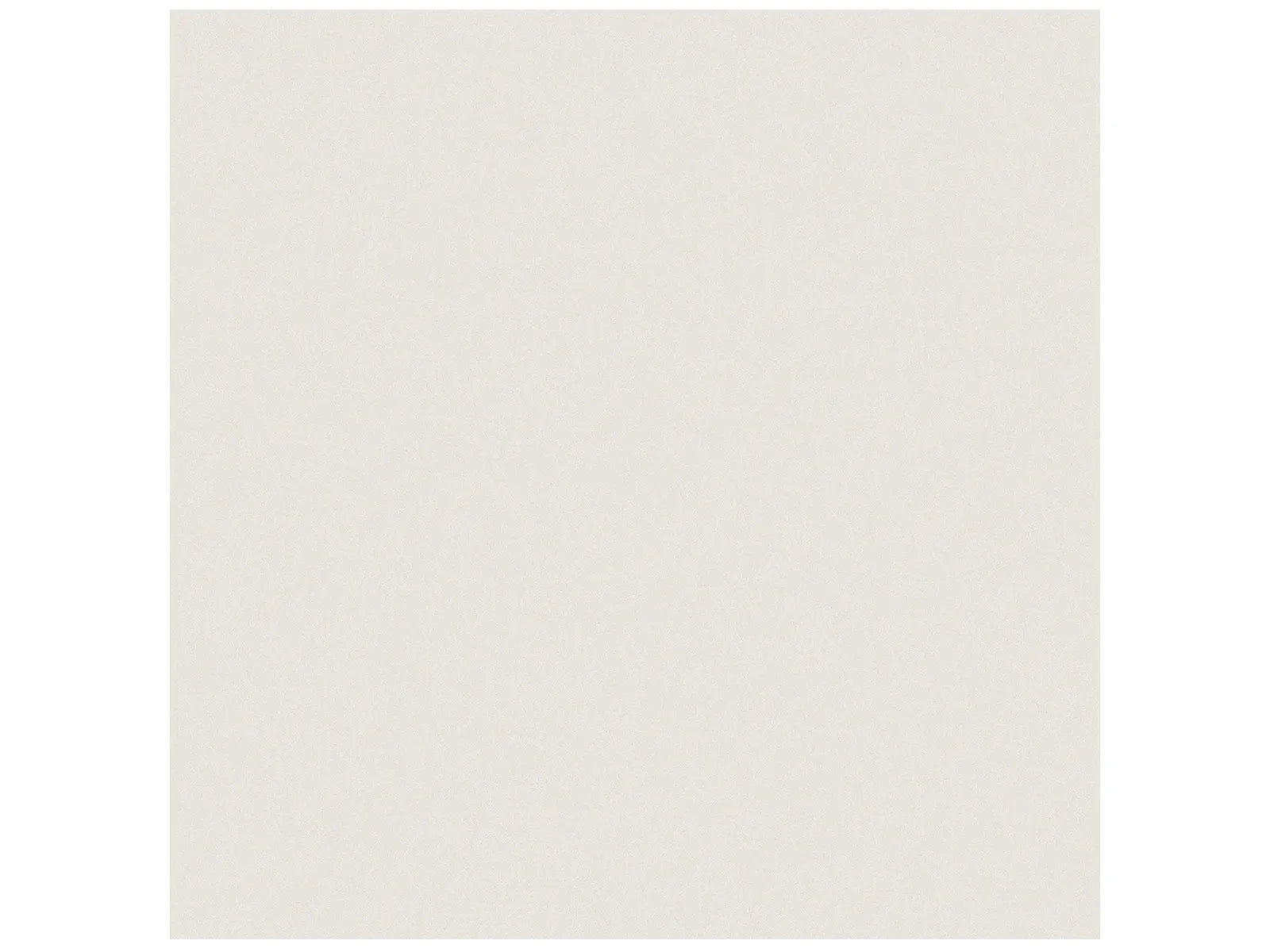 Prima Warm White - 12X12 / 12X24 / 24X24