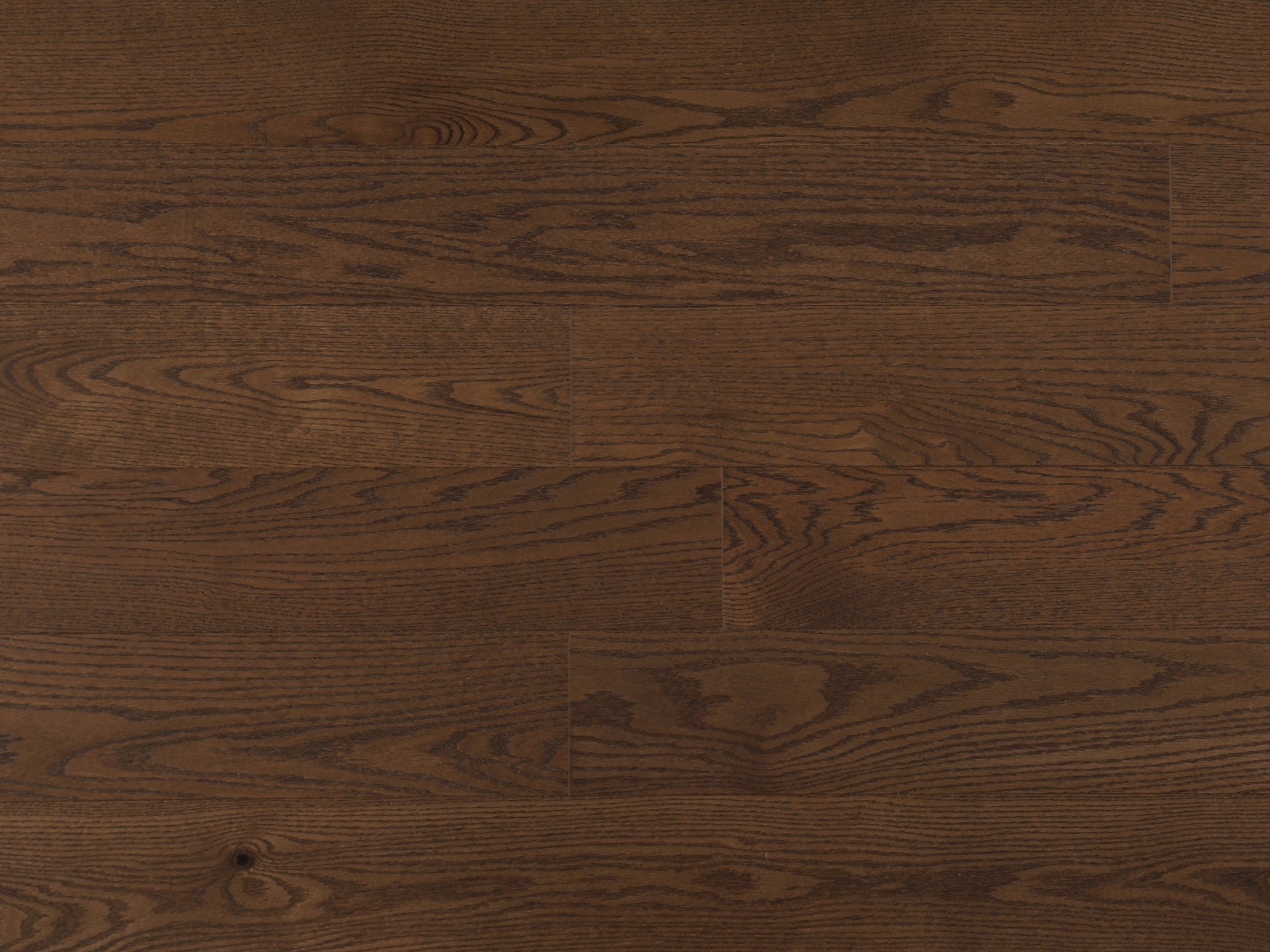 American Oak 6" Collection - Camel