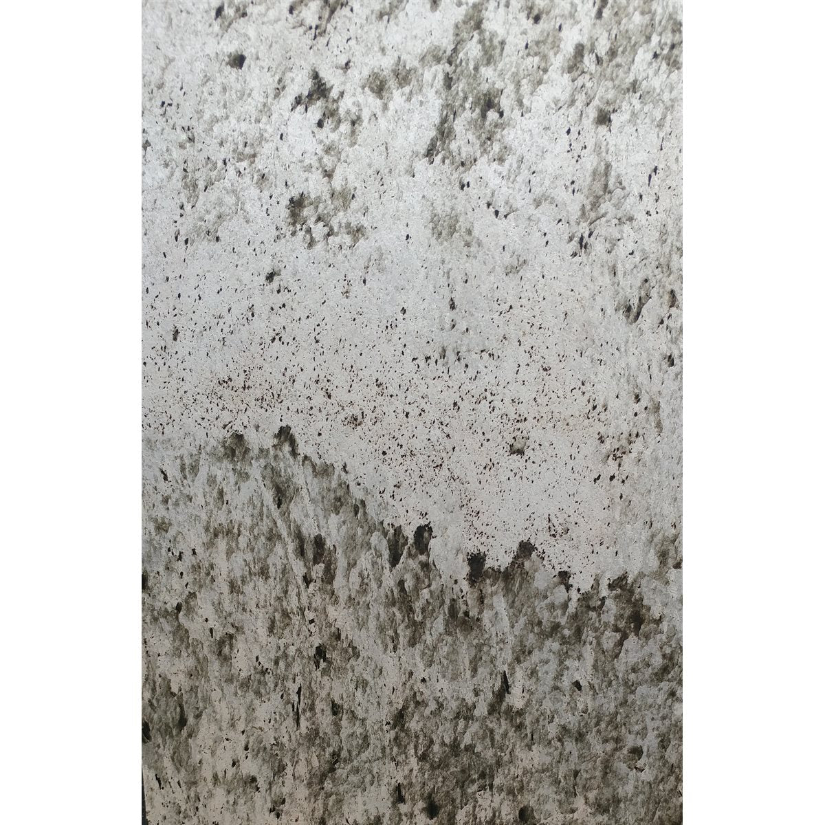 Lamstone Boston Translucent