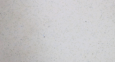 Linen White Quartz - 127X64