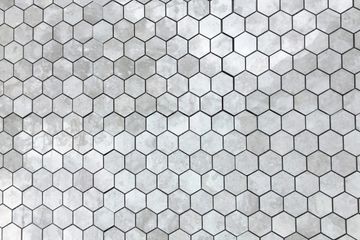 Windstone Gray Hexagon - 12X12