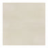 Ivory Matte Segment - 24X24